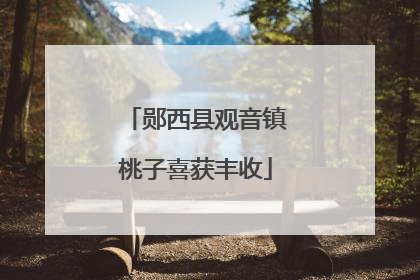 郧西县观音镇桃子喜获丰收