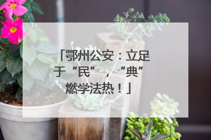 鄂州公安：立足于“民”，“典”燃学法热！
