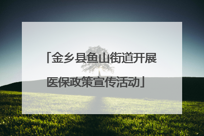 金乡县鱼山街道开展医保政策宣传活动