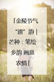 金陵节气“遗”韵｜芒种：笔绘乡韵 画意农情