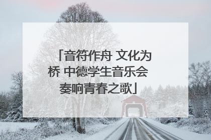 音符作舟 文化为桥 中德学生音乐会奏响青春之歌