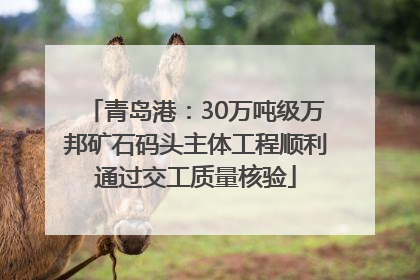 青岛港：30万吨级万邦矿石码头主体工程顺利通过交工质量核验