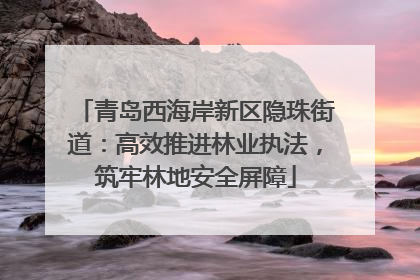 青岛西海岸新区隐珠街道：高效推进林业执法，筑牢林地安全屏障