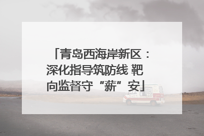青岛西海岸新区：深化指导筑防线 靶向监督守“薪”安