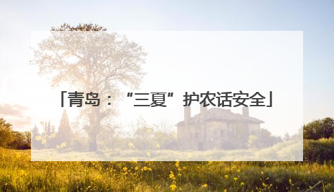 青岛：“三夏”护农话安全