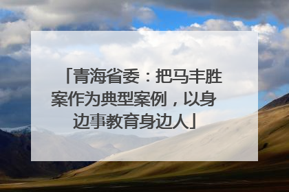 青海省委：把马丰胜案作为典型案例，以身边事教育身边人