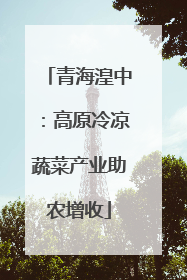 青海湟中：高原冷凉蔬菜产业助农增收
