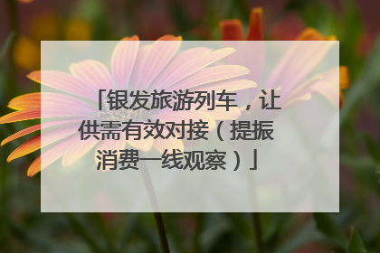 银发旅游列车，让供需有效对接（提振消费一线观察）