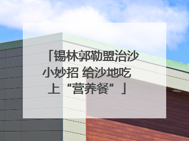 锡林郭勒盟治沙小妙招 给沙地吃上“营养餐”