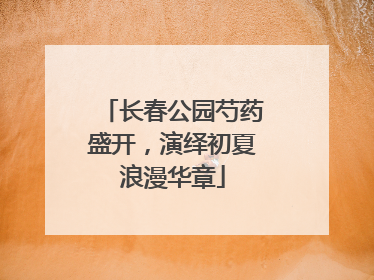 长春公园芍药盛开，演绎初夏浪漫华章