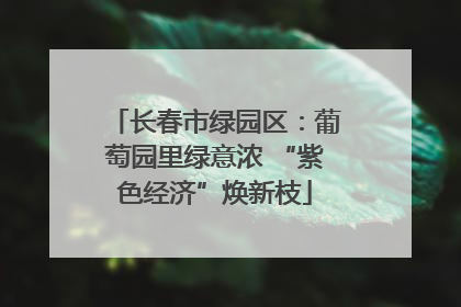 长春市绿园区：葡萄园里绿意浓 “紫色经济”焕新枝