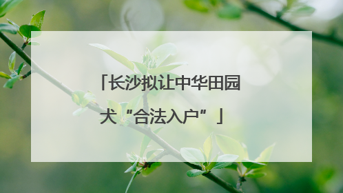长沙拟让中华田园犬“合法入户”