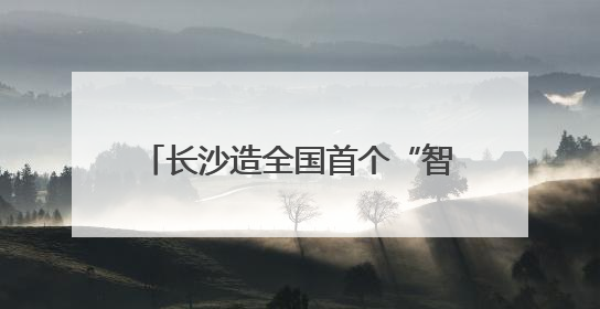 长沙造全国首个“智能押运机器人”亮相
