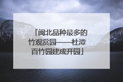 闽北品种最多的竹观赏园——杜潭百竹园建成开园