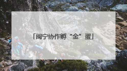 闽宁协作孵“金”蛋