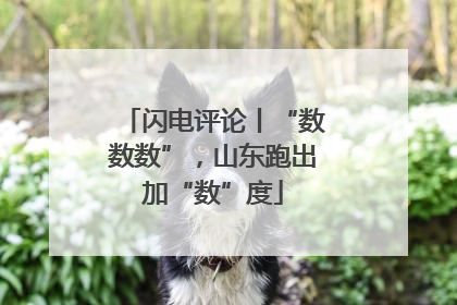 闪电评论丨“数数数”，山东跑出加“数”度