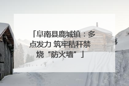 阜南县鹿城镇：多点发力 筑牢秸秆禁烧“防火墙”