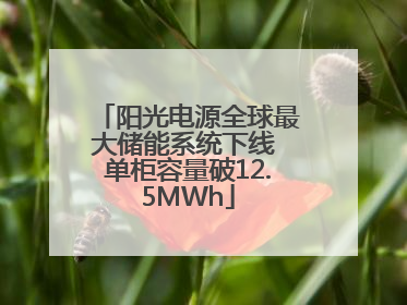 阳光电源全球最大储能系统下线 单柜容量破12.5MWh