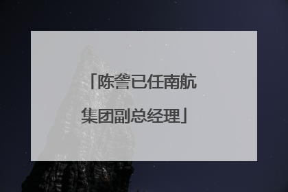陈詟已任南航集团副总经理