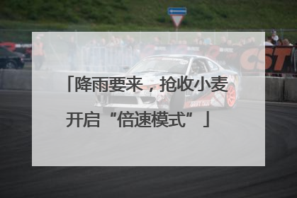 降雨要来，抢收小麦开启“倍速模式”