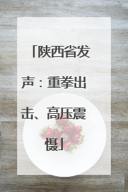 陕西省发声：重拳出击、高压震慑