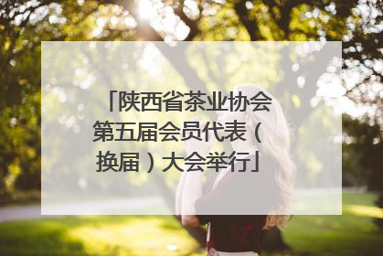 陕西省茶业协会第五届会员代表（换届）大会举行
