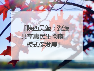 陕西吴堡：资源共享惠民生 创新模式促发展