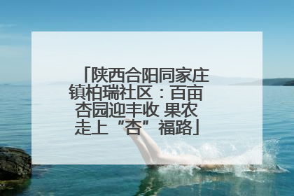 陕西合阳同家庄镇柏瑞社区：百亩杏园迎丰收 果农走上“杏”福路