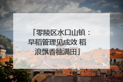 零陵区水口山镇：早稻管理见成效 稻浪飘香穗满田