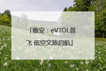 雅安：eVTOL首飞 低空文旅启航