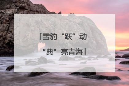 雪豹“跃”动 “典”亮青海