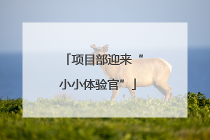 项目部迎来“小小体验官”
