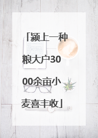 颍上一种粮大户3000余亩小麦喜丰收