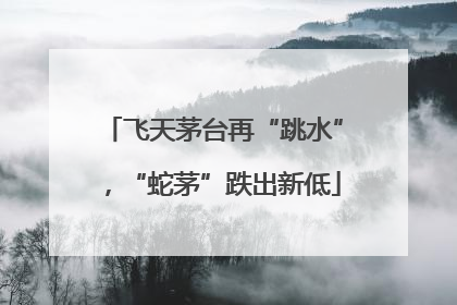 飞天茅台再“跳水”，“蛇茅”跌出新低