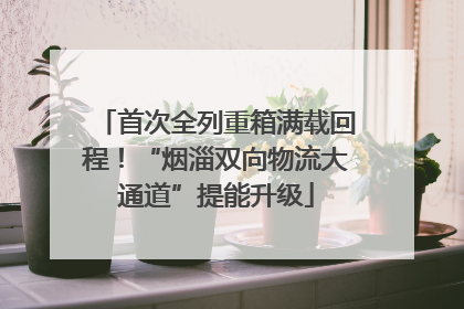 首次全列重箱满载回程！“烟淄双向物流大通道”提能升级