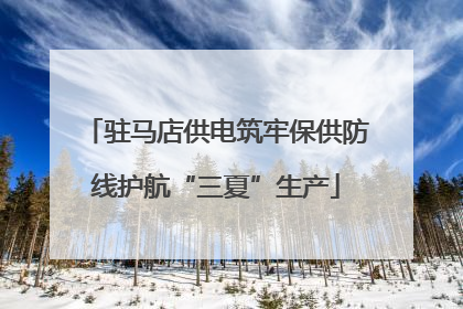 驻马店供电筑牢保供防线护航“三夏”生产