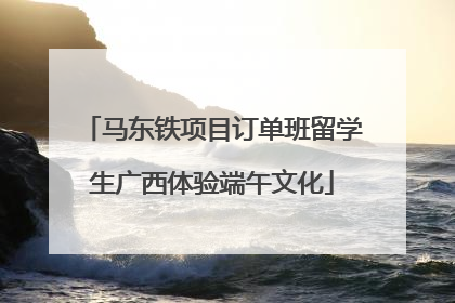 马东铁项目订单班留学生广西体验端午文化