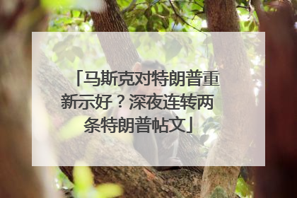 马斯克对特朗普重新示好？深夜连转两条特朗普帖文