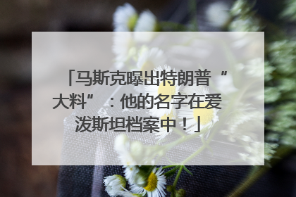 马斯克曝出特朗普“大料”：他的名字在爱泼斯坦档案中！