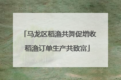 马龙区稻渔共舞促增收 稻渔订单生产共致富