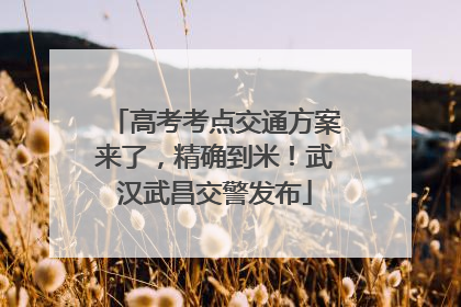 高考考点交通方案来了，精确到米！武汉武昌交警发布