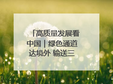 高质量发展看中国｜绿色通道达境外 输送三江“一口鲜”
