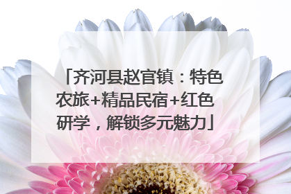 齐河县赵官镇：特色农旅+精品民宿+红色研学，解锁多元魅力