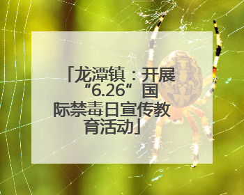 龙潭镇：开展“6.26”国际禁毒日宣传教育活动