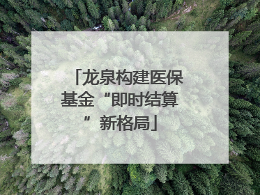 龙泉构建医保基金“即时结算”新格局