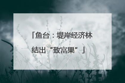 鱼台：堤岸经济林结出“致富果”