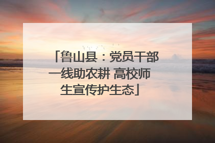 鲁山县：党员干部一线助农耕 高校师生宣传护生态