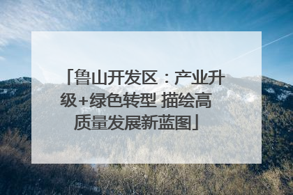 鲁山开发区：产业升级+绿色转型 描绘高质量发展新蓝图