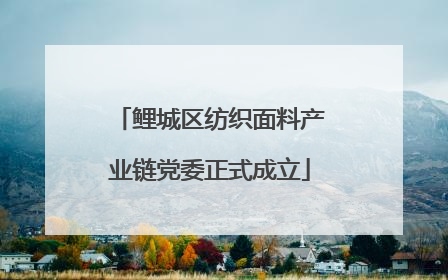 鲤城区纺织面料产业链党委正式成立