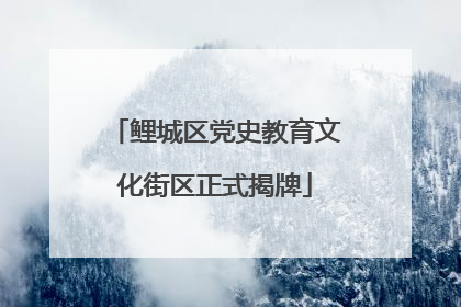 鲤城区党史教育文化街区正式揭牌